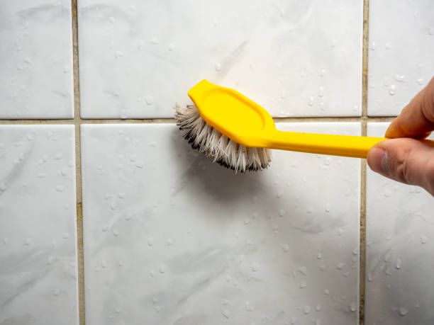 Best Fast Mold Removal  in Compton, CA
