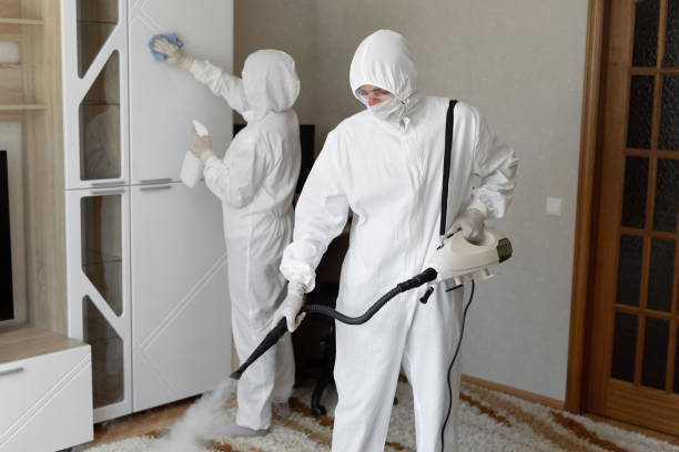 Best Black Mold Removal  in Compton, CA