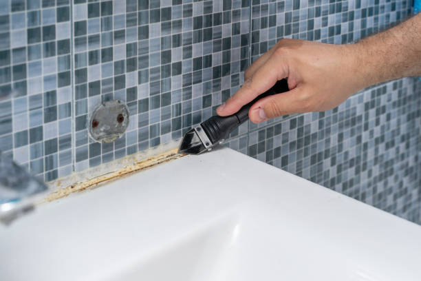 Best Mold Removal Company Near Me  in Compton, CA