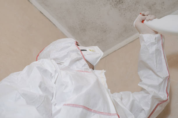  Compton, CA Mold Removal Pros