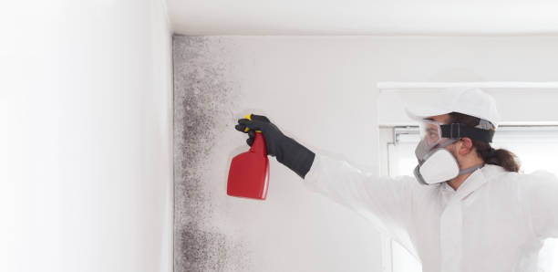 Best Mold Cleaning Services  in Compton, CA