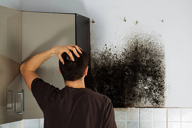 Best Attic Mold Removal  in Compton, CA