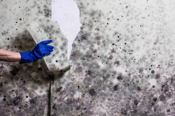Water Damage Restoration in Compton, CA