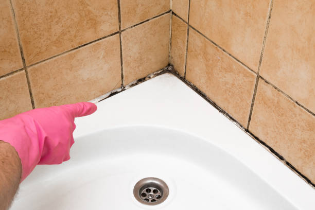Best Emergency Mold Removal  in Compton, CA